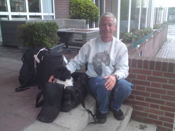 Stabyhoun.nl Stabyhoun.nl