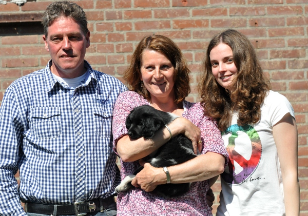 Stabyhoun.nl Stabyhoun.nl