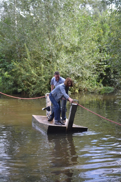 Stabyhoun.nl Stabyhoun.nl