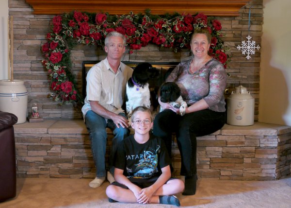 Stabyhoun.nl Stabyhoun.nl