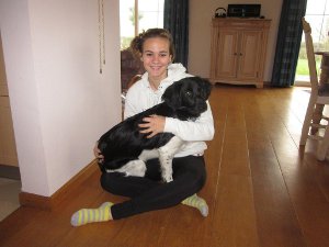 Stabyhoun.nl Stabyhoun.nl