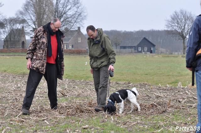 Stabyhoun.nl Stabyhoun.nl