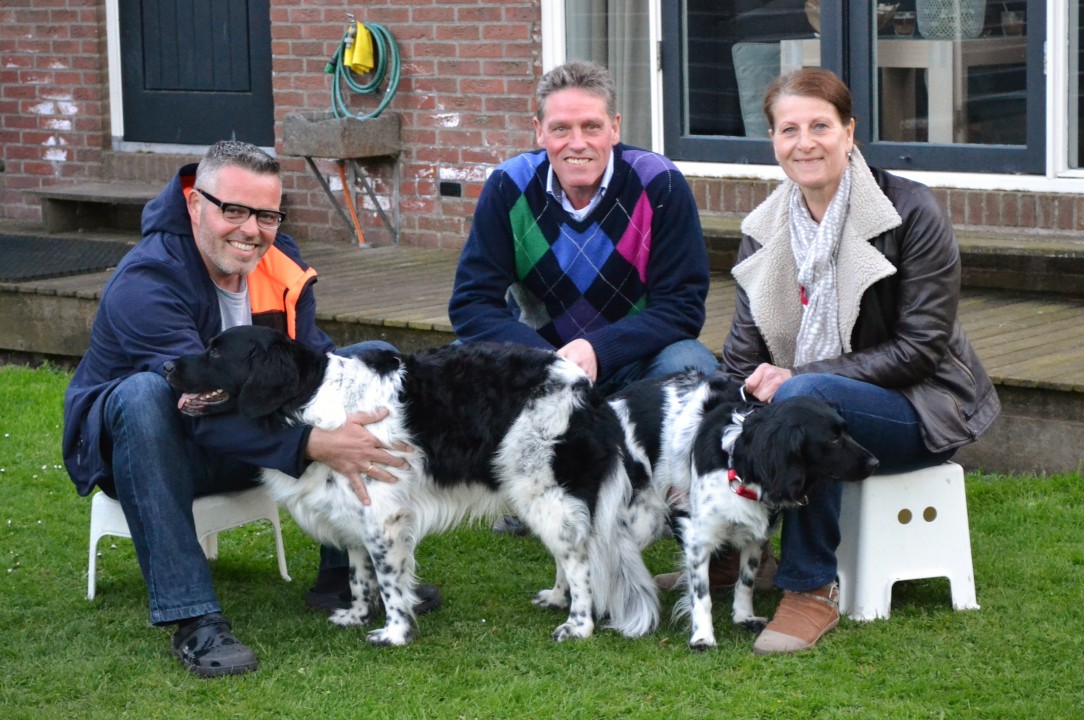 Stabyhoun.nl Stabyhoun.nl