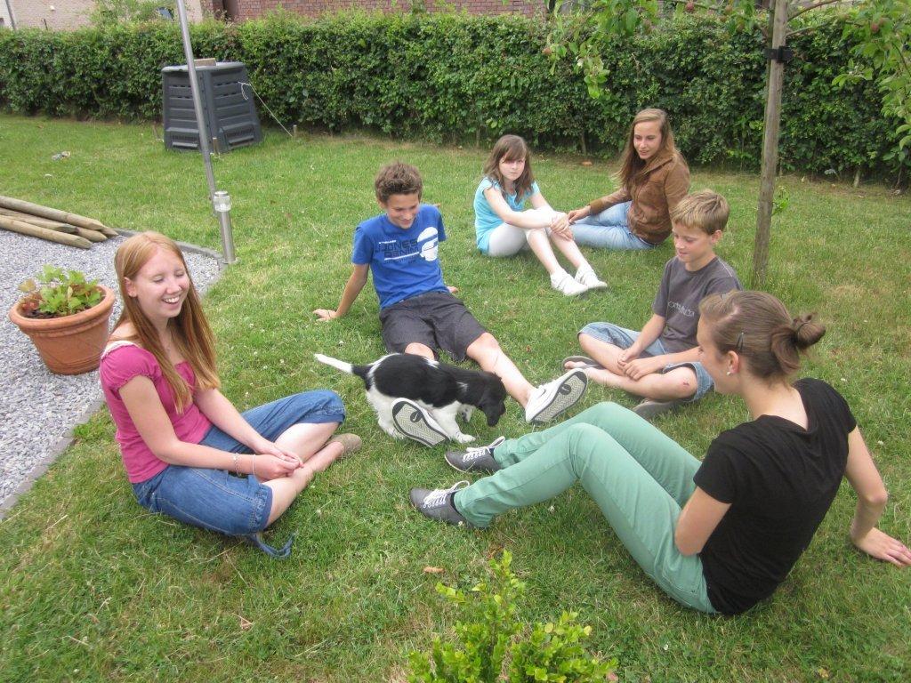 Stabyhoun.nl Stabyhoun.nl