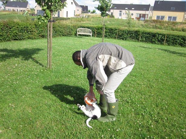 Stabyhoun.nl Stabyhoun.nl