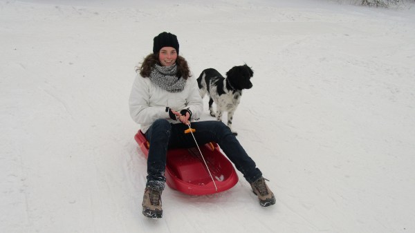 Stabyhoun.nl Stabyhoun.nl