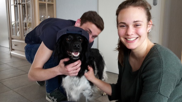 Stabyhoun.nl Stabyhoun.nl