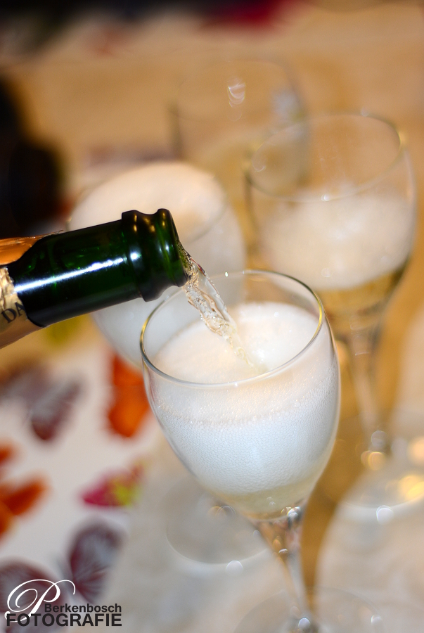 Stabyhoun.nl Stabyhoun.nl