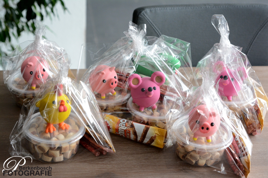 Stabyhoun.nl Stabyhoun.nl